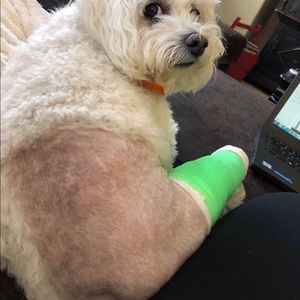 Meet your Posher, Luke